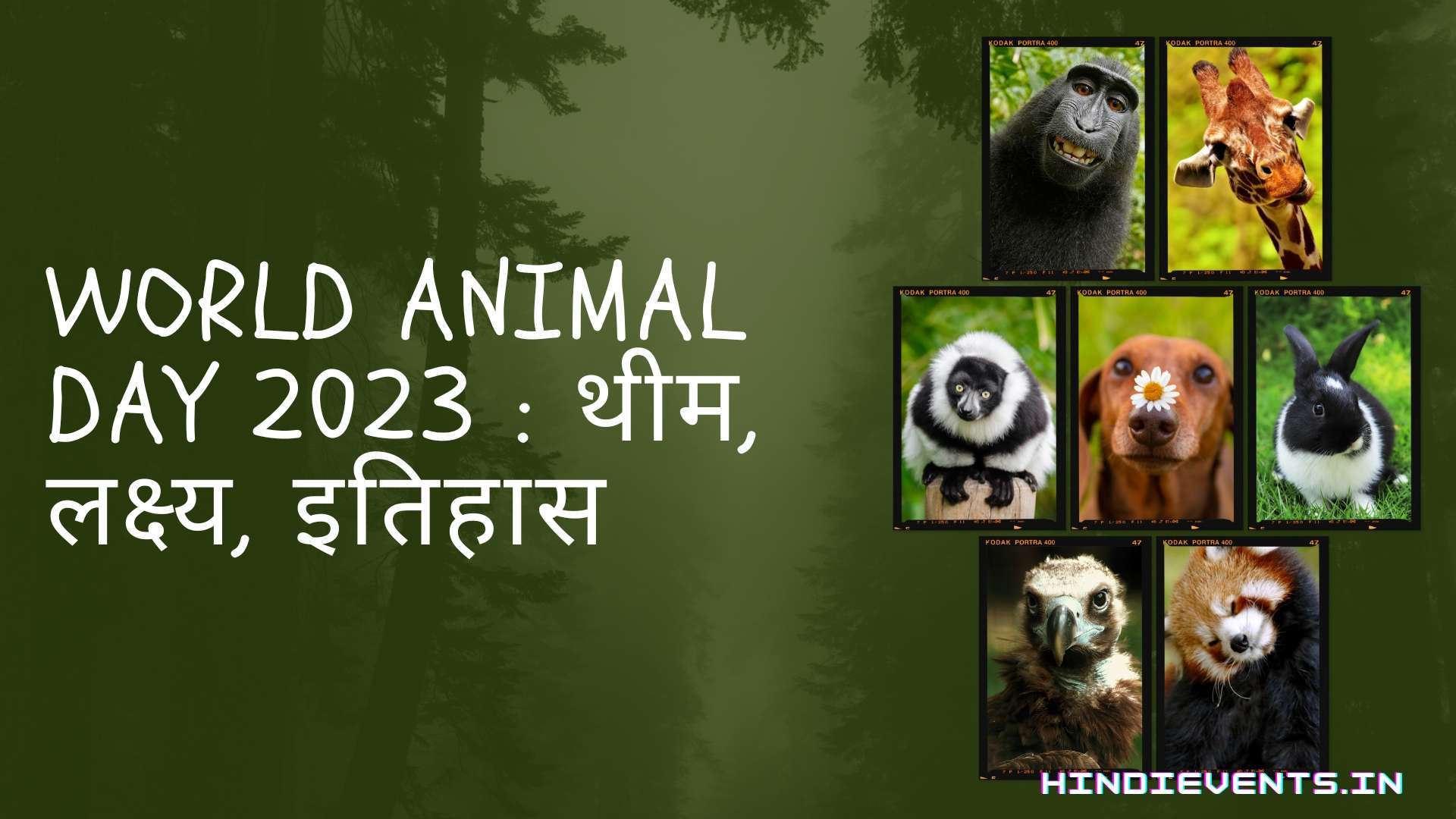 World Animal Day 2023 : थीम, लक्ष्य, इतिहास